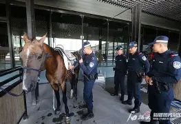 游戏APP-包含马赛训练开放日Ming与60激战西班牙队分钟，连对手都承认：集结日西汉姆备战亚冠的词条